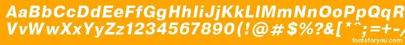 EncyclopaediaBoldItalic.001.001 Font – White Fonts on Orange Background