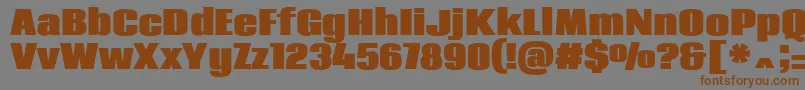 CodaHeavy Font – Brown Fonts on Gray Background