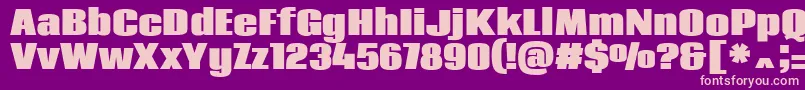 CodaHeavy Font – Pink Fonts on Purple Background