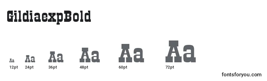 GildiaexpBold font sizes