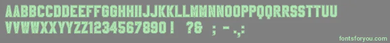 フォントSablonUpCollegeAlt – 灰色の背景に緑のフォント