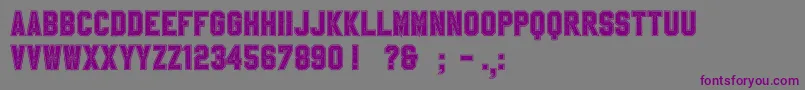 SablonUpCollegeAlt Font – Purple Fonts on Gray Background