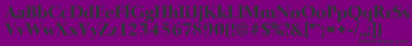 BelfastserialXboldRegular Font – Black Fonts on Purple Background