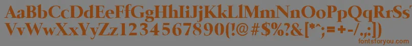 BelfastserialXboldRegular Font – Brown Fonts on Gray Background