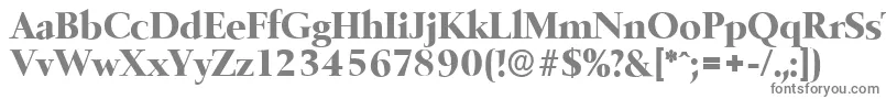 BelfastserialXboldRegular Font – Gray Fonts on White Background