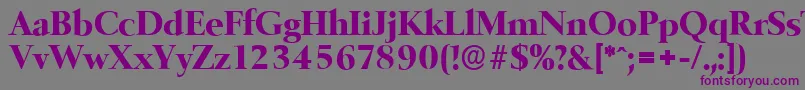 BelfastserialXboldRegular-Schriftart – Violette Schriften auf grauem Hintergrund
