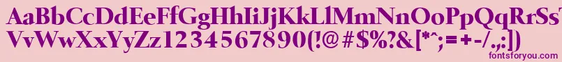 BelfastserialXboldRegular Font – Purple Fonts on Pink Background