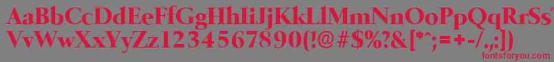 BelfastserialXboldRegular Font – Red Fonts on Gray Background