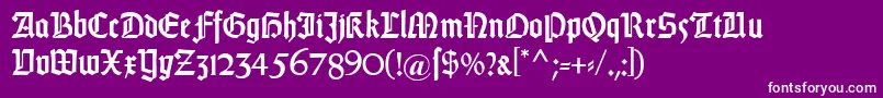 DsweissGotischalt Font – White Fonts on Purple Background