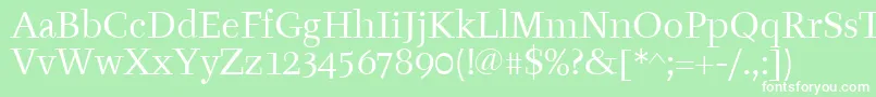 フォントTyfaitcTt – 緑の背景に白い文字