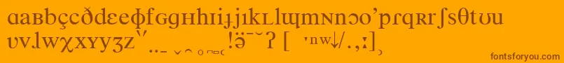 フォントTimesPhoneticIpa – オレンジの背景に茶色のフォント