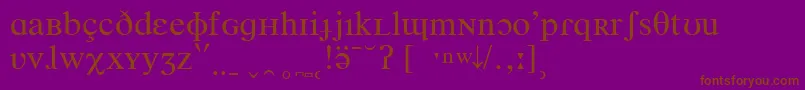 TimesPhoneticIpa Font – Brown Fonts on Purple Background