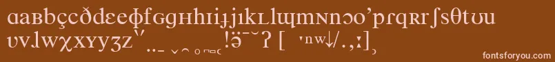 フォントTimesPhoneticIpa – 茶色の背景にピンクのフォント