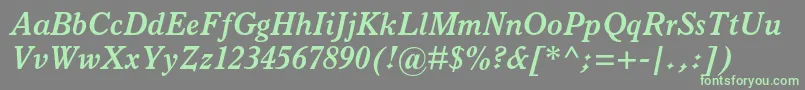 ItalianoldstylemtstdBoldit Font – Green Fonts on Gray Background