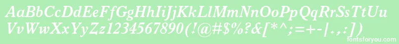 ItalianoldstylemtstdBoldit Font – White Fonts on Green Background