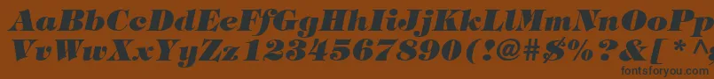 TringlandHeavyItalic-fontti – mustat fontit ruskealla taustalla