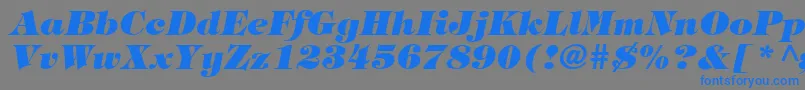 TringlandHeavyItalic Font – Blue Fonts on Gray Background