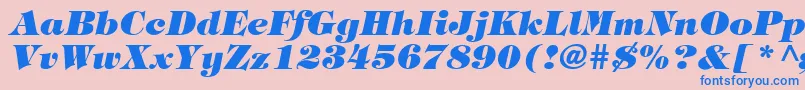 TringlandHeavyItalic Font – Blue Fonts on Pink Background