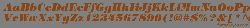 フォントTringlandHeavyItalic – 茶色の文字が灰色の背景にあります。