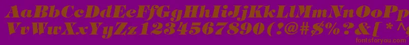 フォントTringlandHeavyItalic – 紫色の背景に茶色のフォント