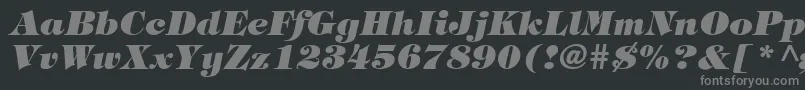 フォントTringlandHeavyItalic – 黒い背景に灰色の文字