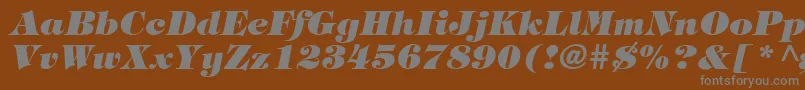 Czcionka TringlandHeavyItalic – szare czcionki na brązowym tle