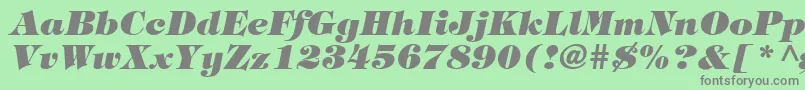 TringlandHeavyItalic Font – Gray Fonts on Green Background