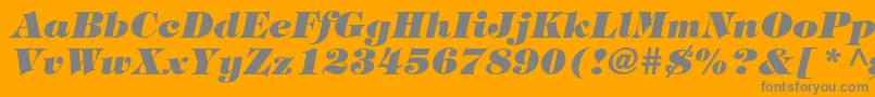 TringlandHeavyItalic Font – Gray Fonts on Orange Background