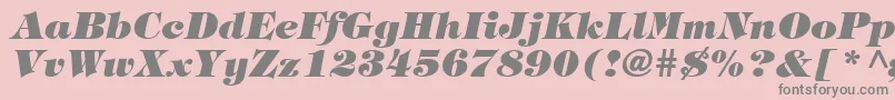 フォントTringlandHeavyItalic – ピンクの背景に灰色の文字