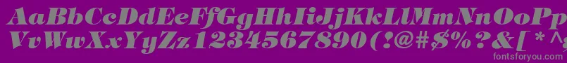 Fonte TringlandHeavyItalic – fontes cinzas em um fundo violeta