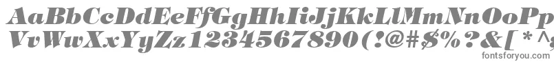 Шрифт TringlandHeavyItalic – серые шрифты на белом фоне