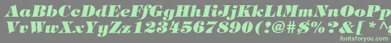 TringlandHeavyItalic Font – Green Fonts on Gray Background