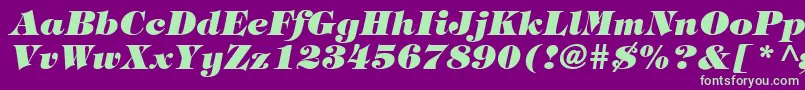 TringlandHeavyItalic Font – Green Fonts on Purple Background