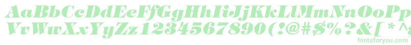 フォントTringlandHeavyItalic – 白い背景に緑のフォント