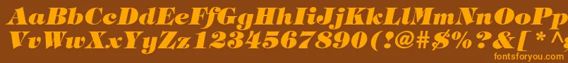 フォントTringlandHeavyItalic – オレンジ色の文字が茶色の背景にあります。