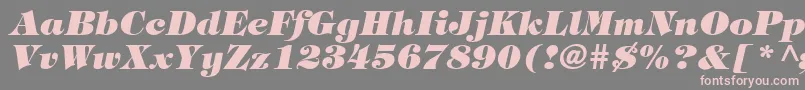 Шрифт TringlandHeavyItalic – розовые шрифты на сером фоне