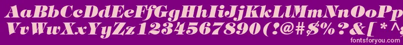 Fonte TringlandHeavyItalic – fontes rosa em um fundo violeta