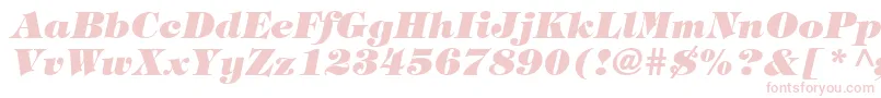 Fonte TringlandHeavyItalic – fontes rosa em um fundo branco