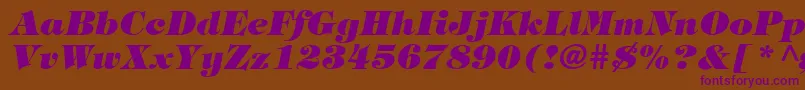 フォントTringlandHeavyItalic – 紫色のフォント、茶色の背景