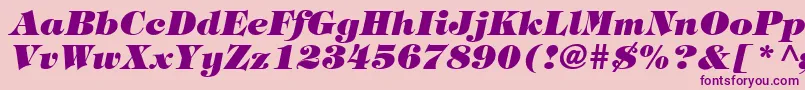 TringlandHeavyItalic-fontti – violetit fontit vaaleanpunaisella taustalla