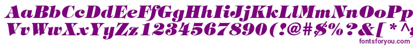 フォントTringlandHeavyItalic – 白い背景に紫のフォント