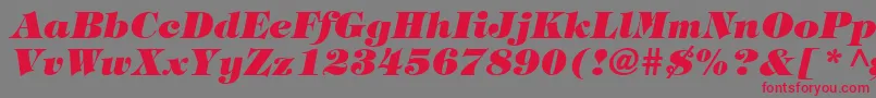 TringlandHeavyItalic-fontti – punaiset fontit harmaalla taustalla