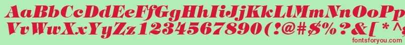 TringlandHeavyItalic-Schriftart – Rote Schriften auf grünem Hintergrund