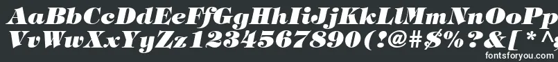 TringlandHeavyItalic Font – White Fonts on Black Background