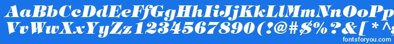 TringlandHeavyItalic-Schriftart – Weiße Schriften auf blauem Hintergrund