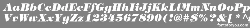 TringlandHeavyItalic-fontti – valkoiset fontit harmaalla taustalla