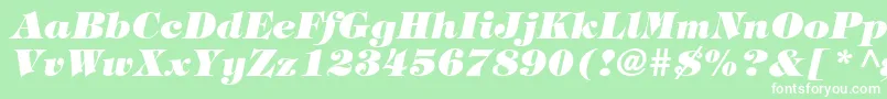 フォントTringlandHeavyItalic – 緑の背景に白い文字