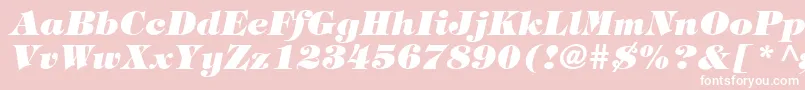 TringlandHeavyItalic-fontti – valkoiset fontit vaaleanpunaisella taustalla
