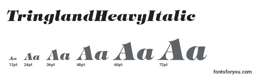 TringlandHeavyItalic Font Sizes