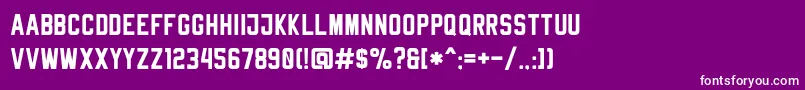 RheibornSansClean Font – White Fonts on Purple Background
